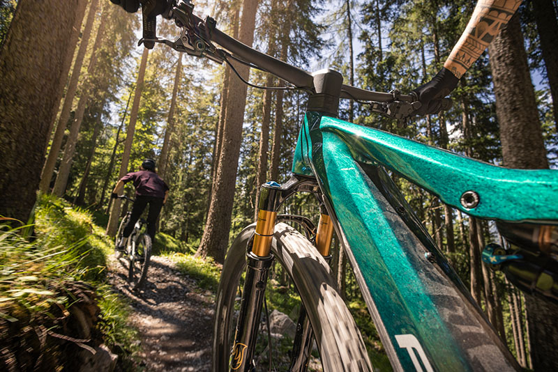Mountainbiker im Wald