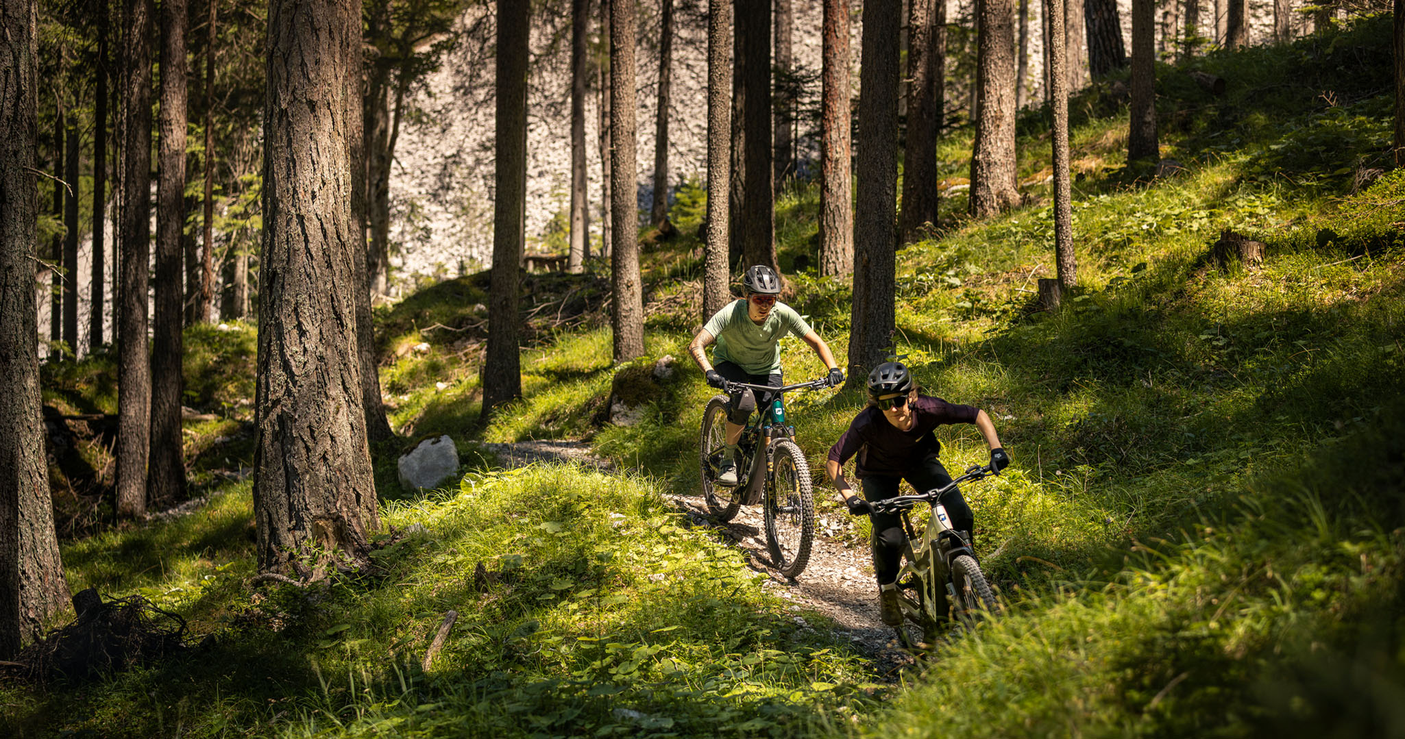 Mountainbikafahrer im Wald
